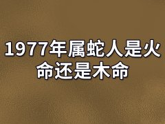 1977年属蛇人是火命还是木