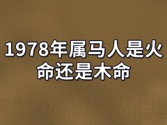 1978年属马人是火命还是木