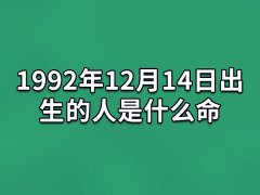 1992年12月14日出生的人是什