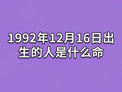 1992年12月16日出生的人是什