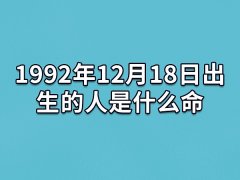 1992年12月18日出生的人是什么命：不安于现状(喜欢旅行)