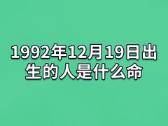 1992年12月19日出生的人是什