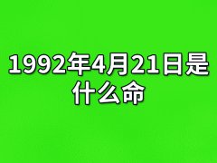 1992年4月21日出生的人是什