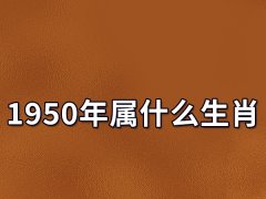 1950年属什么生肖:生肖虎（