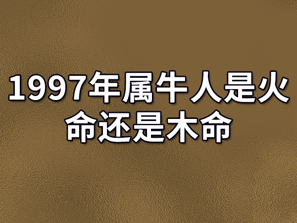 1997年属牛的是什么命图片