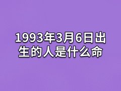 1993年3月6日出生的人是什