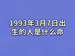 1993年3月7日出生的人是什