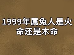 1999年属兔人是火命还是木命-1999年属兔人是火命吗