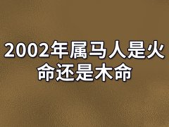 2002年属马人是火命还是木