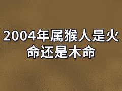 2004年属猴人是火命还是木命-2004年属猴人是火命吗