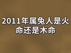 2011年属兔人是火命还是木命-2011年属兔人是火命吗