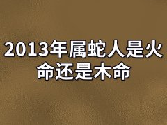 2013年属蛇人是火命还是木