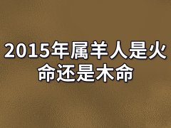 2015年属羊人是火命还是木命-2015年属羊人是火命吗