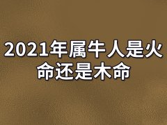 2021年属牛人是火命还是木