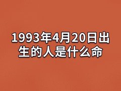 1993年4月20日出生的人是什