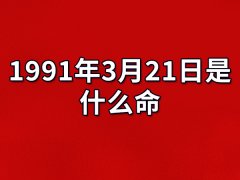 1991年3月21日出生的人是什么命:做事有原则（讨厌虚伪）