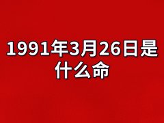 1991年3月26日出生的人是什