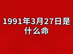 1991年3月27日出生的人是什么命：为人柔和（忍耐力强）