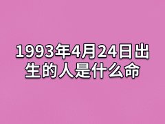 1993年4月24日出生的人是什