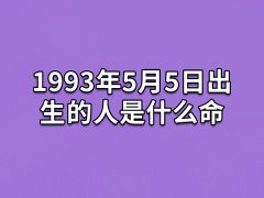 1993年5月5日出生的人是什