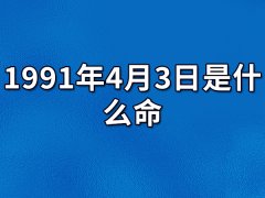 1991年4月3日出生的人是什