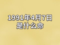 1991年4月7日出生的人是什