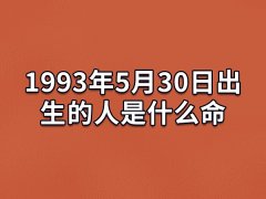 1993年5月30日出生的人是什