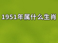 1951年属什么生肖:生肖兔（性格温和）