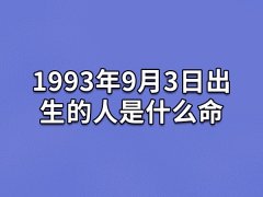 1993年9月3日出生的人是什