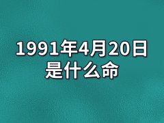 1991年4月20日出生的人是什