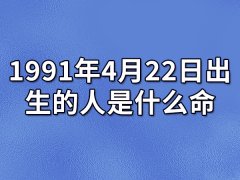 1991年4月22日出生的人是什