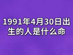 1991年4月30日出生的人是什