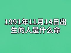 1991年11月14日出生的人是什么命：比较固执(有责任心)