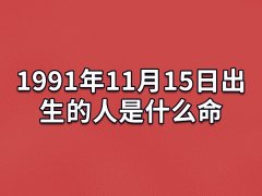 1991年11月15日出生的人是什