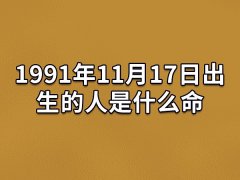 1991年11月17日出生的人是什