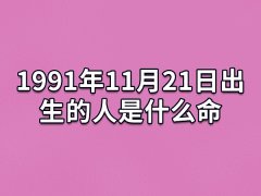 1991年11月21日出生的人是什么命：有责任感(爱情不顺)