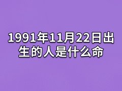 1991年11月22日出生的人是什