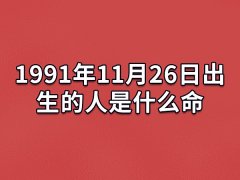 1991年11月26日出生的人是什