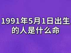 1991年5月1日出生的人是什