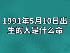 1991年5月10日出生的人是什么命：具有表演天赋（晚年享乐）