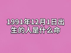 1991年12月1日出生的人是什