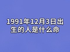 1991年12月3日出生的人是什