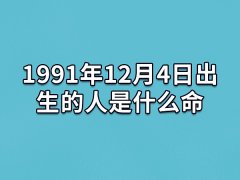 1991年12月4日出生的人是什