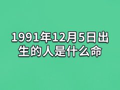 1991年12月5日出生的人是什么命：心地善良(乐于助人)