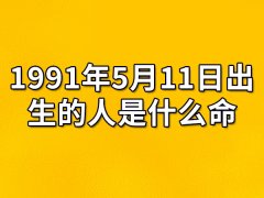 1991年5月11日出生的人是什