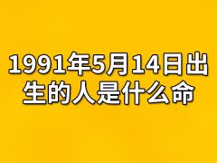 1991年5月14日出生的人是什