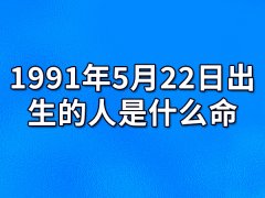 1991年5月22日出生的人是什么命：责任感强（中晚年运佳）