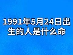 1991年5月24日出生的人是什么命：富裕智商（感情用事）