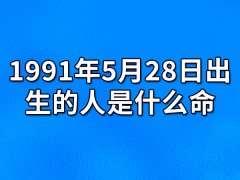 1991年5月28日出生的人是什