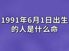 1991年6月1日出生的人是什